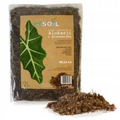 IMSOIL Ziemia Dedykowana do ALOKAZJI 10L