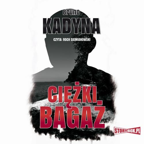 (mp3) Ciężki bagaż zdjęcie 1