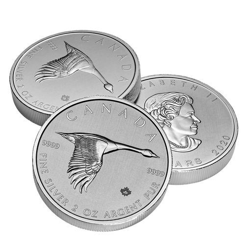 Gęś 2 uncje Srebra 2020 na Arena.pl