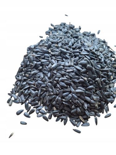 Słonecznik czarny 14 kg pokarm dla papug karma dla ptaków GRTIS kula tluszc na Arena.pl