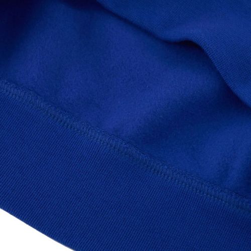 Bluza Champion Hooded M 220253 BS008 M na Arena.pl