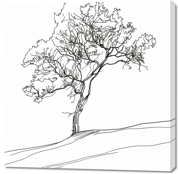 Obraz 100x100cm Drzewo w Zarysie zdjęcie 1