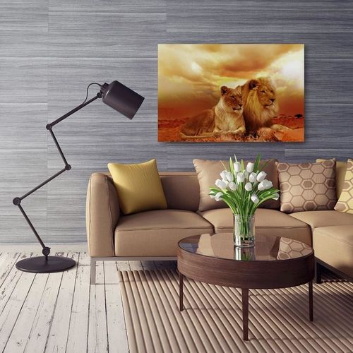 Obraz na płótnie - Canvas, Para lwów 50x40 na Arena.pl