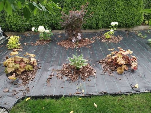 NAJMOCNIEJSZA AGROTKANINA ANTYCHWASTOWA 90g 1,1x50m UV3% AGROWŁÓKNINA na Arena.pl