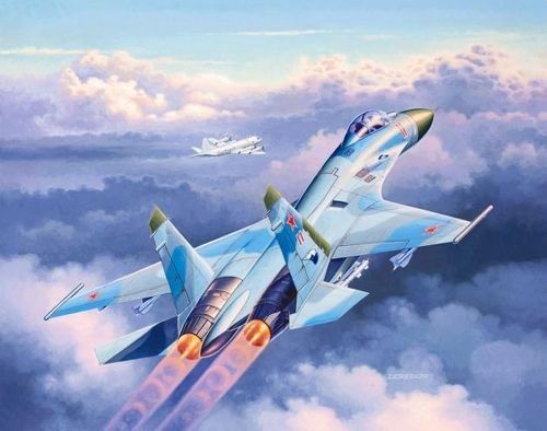Suchoi Su-27 Flanker na Arena.pl