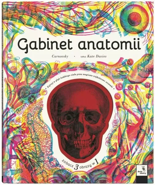 Gabinet anatomii zdjęcie 1