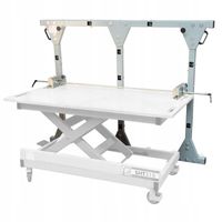 Podnośnik płyt Holzmann SHT310PAR stół podnośny płyty meblowej podnoszenia