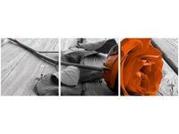 90X30CM RÓŻA HEBRACIANA TRÓJ OBRAZ