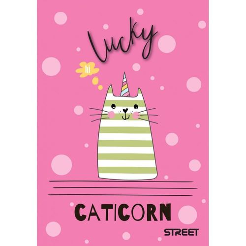 ZESZYT STREET MY CAT A6 40= ARGUS na Arena.pl