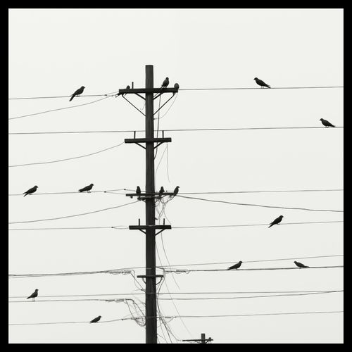 Plakat 40x40cm Symfonia na Drutach na Arena.pl