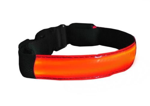 Obroża LED czerwona - M na Arena.pl