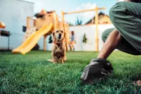 product-compare-57621250