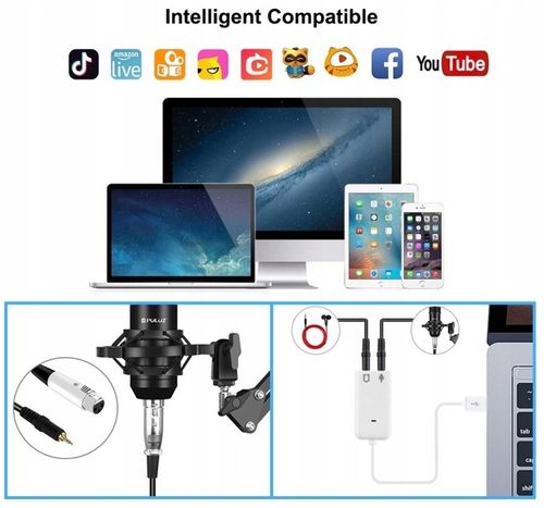 Mikrofon Studyjny Pojemnościowy USB PULUZ Gaming Studio Broadcast Pop Filtr na Arena.pl