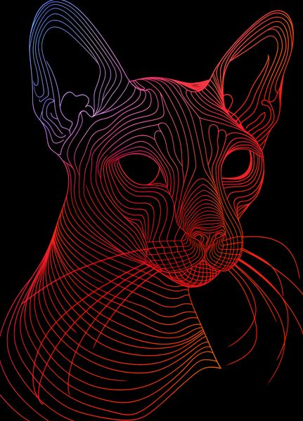 Plakat 39,5x55cm Cyfrowa Kocica zdjęcie 1