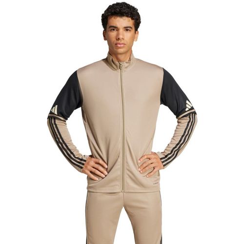 Bluza adidas Squadra 25 Training M JP3391 S na Arena.pl
