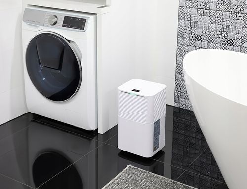 OSUSZACZ POWIETRZA POCHŁANIACZ WILGOCI 12l/24h na Arena.pl