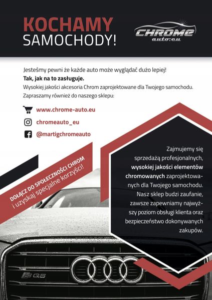 MAN - Listwy CHROM Boczne Drzwi zdjęcie 7