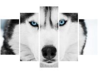 70 100CM OBRAZ 5 ELEM HUSKY SYBERYJSKI DRUK PŁÓTNO