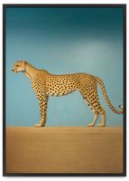 Plakat obraz lampart 50x70 cm w czarnej ramie