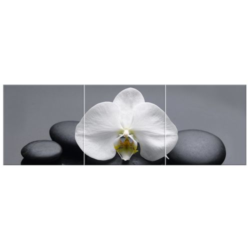 Obraz Tryptyk 150X50 Biały Storczyk na Arena.pl