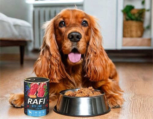 RAFI BEZ ZBÓŻ mokra karma PUSZKI DOLINA NOTECI MIX SMAKÓW DLA PSA na Arena.pl