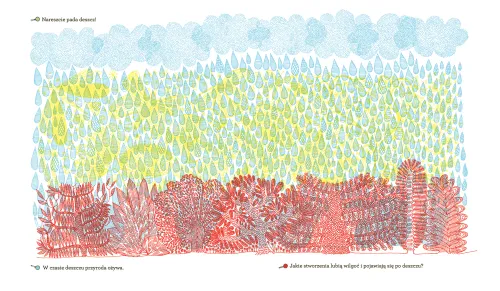 Co kryje las? na Arena.pl
