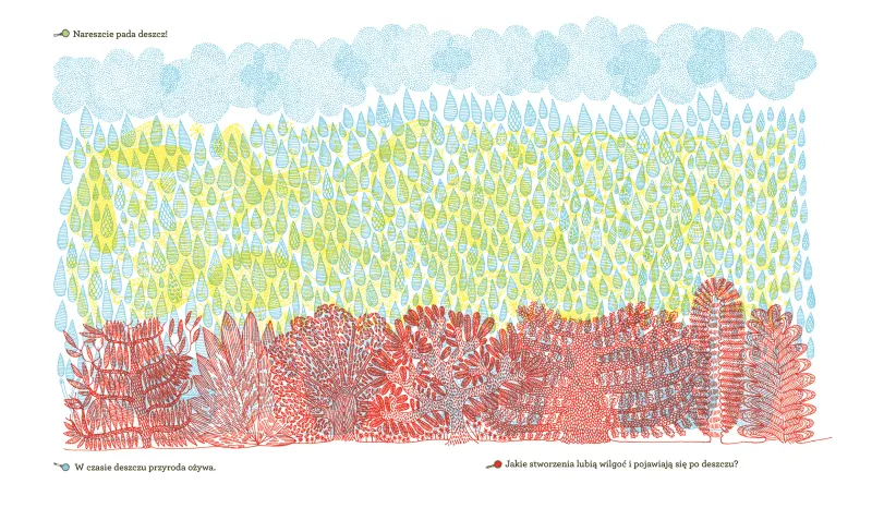 Co kryje las? zdjęcie 4