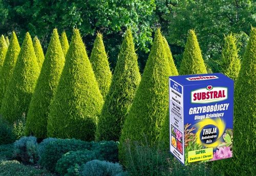 SUBSTRAL SAPROL OCHRONA TUI THUJA RÓŻE RODODENDRON ŚRODEK GRZYBOBÓJCZY 0,1L na Arena.pl