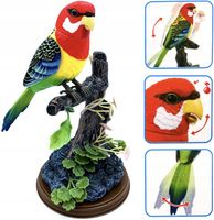 Ćwierkający ruchomy ptaszek papuga interaktywna papużka