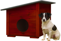 BUDA DREWNIANA OCIEPLANA DLA PSA LUB KOTA PREMIUM S MAŁA PALISANDER