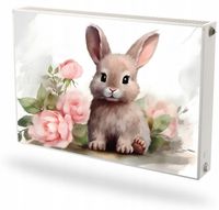 Mata magnetyczna na kaloryfer grzejnik Fototapeta na wymiar MAŁY KRÓLICZEK