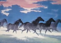 Plakat 100x70cm Wolność i Swoboda