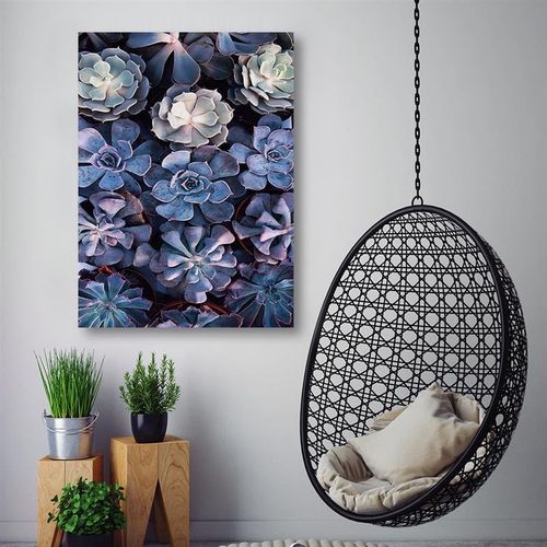 Deco Panel, Sukulenty kaktusy ozdobne 30x40 na Arena.pl