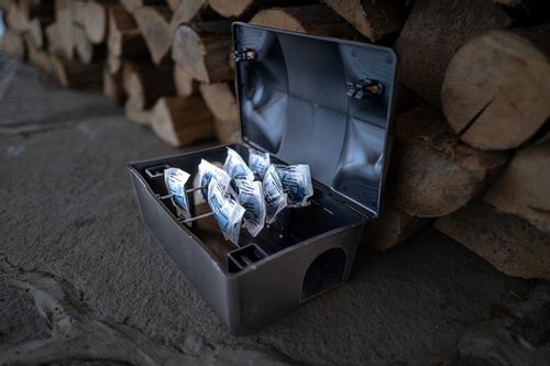 ZESTAW STACJA DERATYZACYJNA NA TRUTKĘ NA MYSZY x5 na Arena.pl