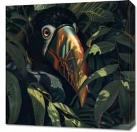 Obraz 60x60cm Skryty Tukan