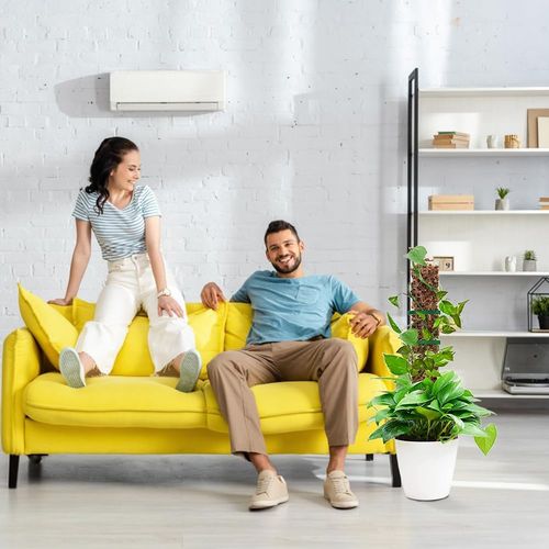 Przezroczyste pręty do roślin pnących zestaw DIY 61 cm na Arena.pl