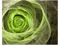 40X50CM OBRAZ GREEN ROSE OBRAZ