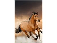 40X60CM STADO KONI OBRAZ