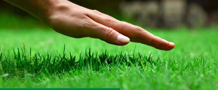 ROSAHUMUS 1kg nawóz organiczny kwasy humusowe POTAS POPRAWIA JAKOŚĆ GLEBY zdjęcie 5