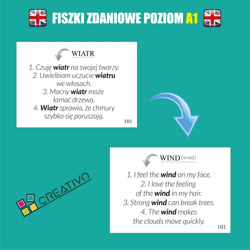 Angielski. Fiszki zdaniowe. Poziom A1 na Arena.pl