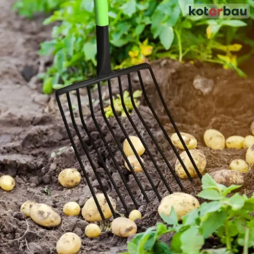 WIDŁY 10 ZĘBNE BURAKÓW ZIEMNIAKÓW KAMIENIA GABLE na Arena.pl