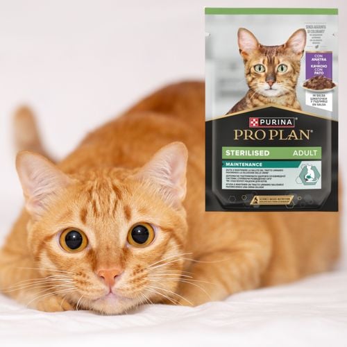 karma mokra dla kotów sterylizowanych purina pro plan z kaczką 85 g natural na Arena.pl