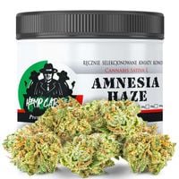 Susz konopny CBD | Amnesia Haze | HOLENDER | 10g