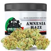 Susz konopny CBD | Amnesia Haze | HOLENDER | 20g