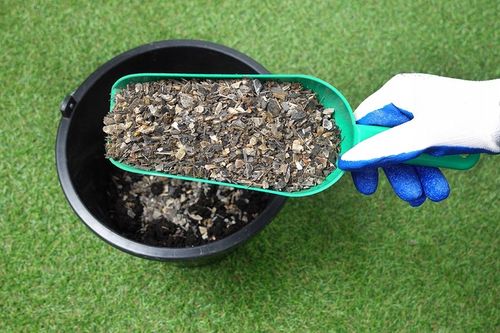 Nawóz Organiczny Wióry Rogowe 10kg Mączka Rogowa Z Rogów Kopyt Ekologiczny na Arena.pl