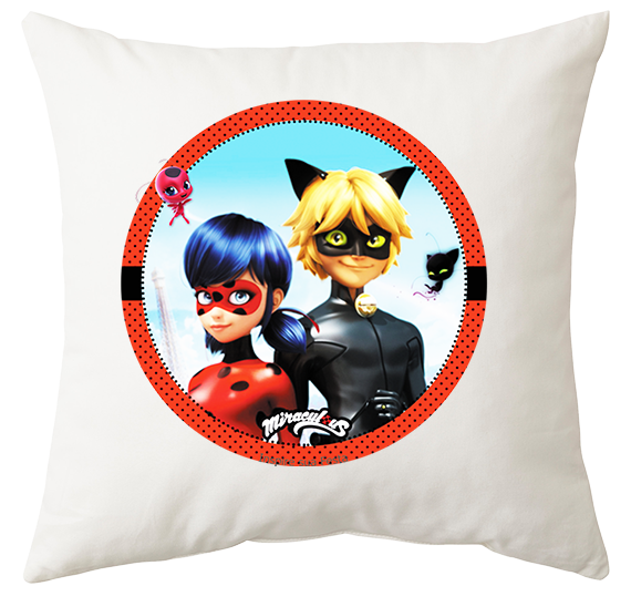 Poduszka Biedronka i Czarny Kot zdjęcie 1