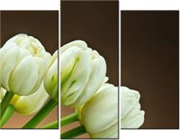 product-compare-58672394