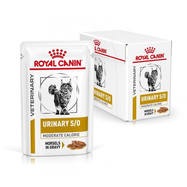 ROYAL CANIN Cat Urinary Moderate Calorie 12x85g zdjęcie 1