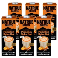 Natrue Barista Pumpkin Spice Oat Drink Gluten Free, napój owsiany o smaku przypraw korzennych z dynią 6 x 1l