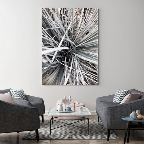 Obraz na płótnie - Canvas, Trawa dekoracyjna 40x60 na Arena.pl